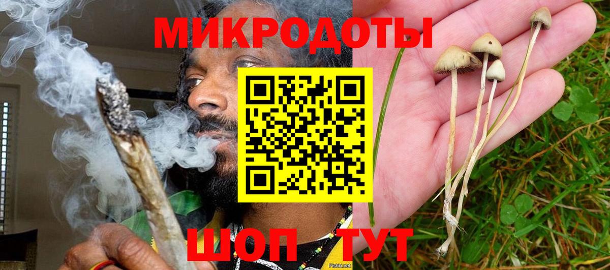 Клин  Галлюциногенные грибы Cubensis  Вход с VPN 