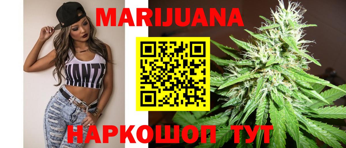 Конопля сатива Клин